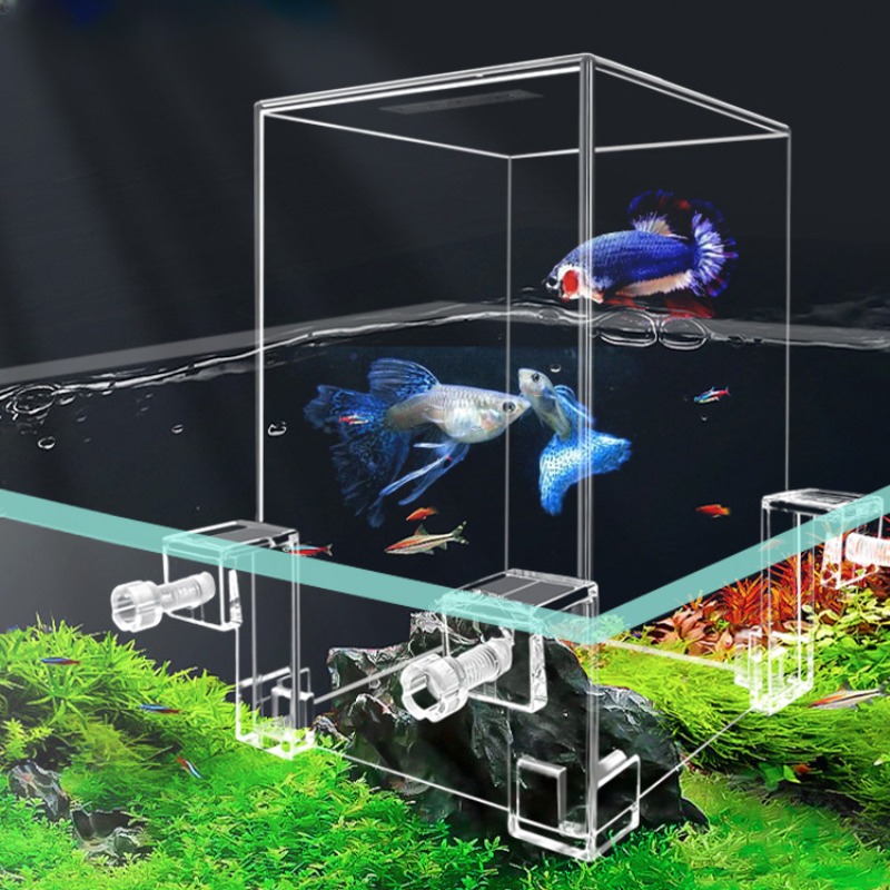 Plant Aquarium Pot - ตู้ปลาขนาดเล็กสำหรับตกแต่งตู้ปลาตู้ปลาตู้ปลาตู้ปลาแรงดันลบ