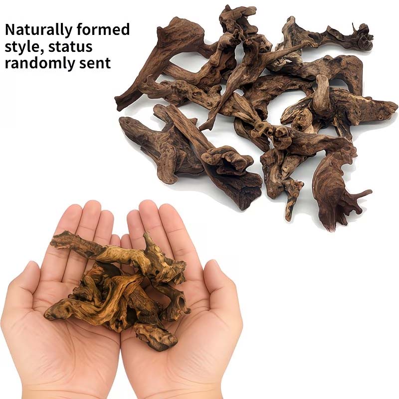 Aquarium Driftwood - ไม้ลอยน้ำธรรมชาติขนาด 5-10 ซม. สำหรับตกแต่งตู้ปลา ไม้สำหรับสัตว์เลื้อยคลาน ตกแต่งตู้ปลาสำหรับสัตว์น้ำ
