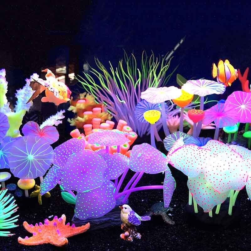ซิลิโคนเรืองแสงตกแต่งตู้ปลา ปล - Live Plant Aquarium บทวิจารณ์และราคา