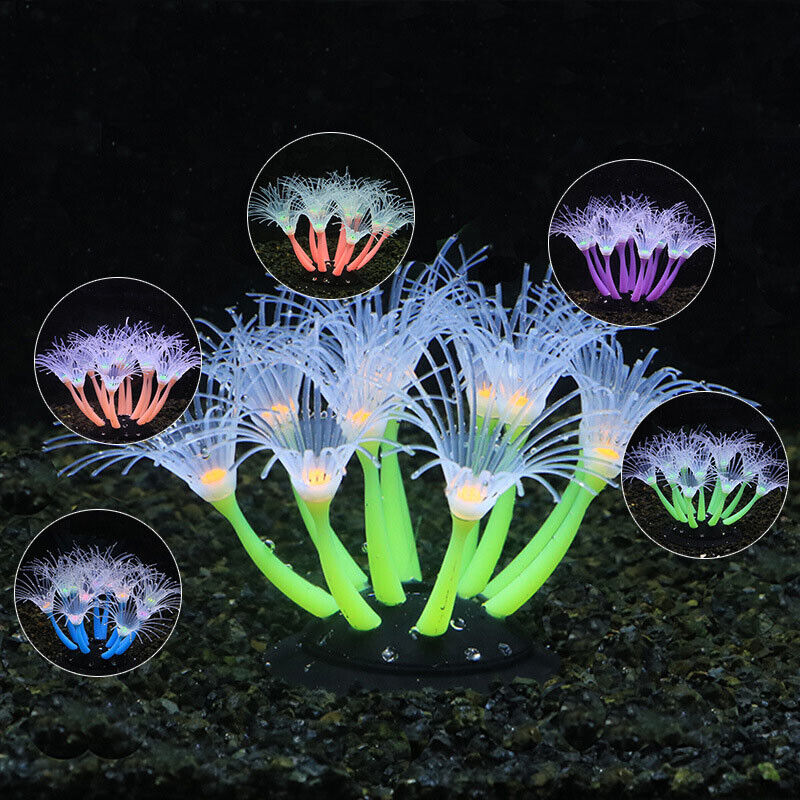 ซิลิโคนเรืองแสงตกแต่งตู้ปลา ปล - Live Plant Aquarium บทวิจารณ์และราคา