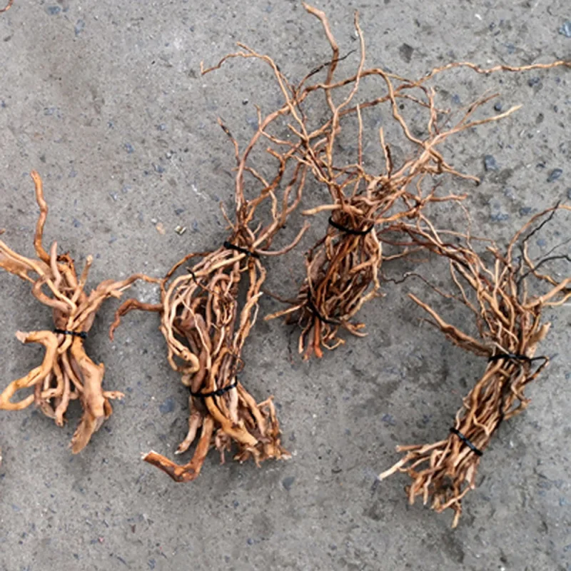 ต้นไม้รากไม้ลอยน้ำธรรมชาติสำหร - Aquarium Driftwood บทวิจารณ์และราคา