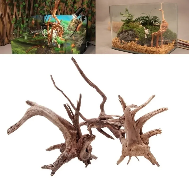 ต้นไม้ธรรมชาติลำต้นไม้ดริฟท์วู - Aquarium Driftwood บทวิจารณ์และราคา