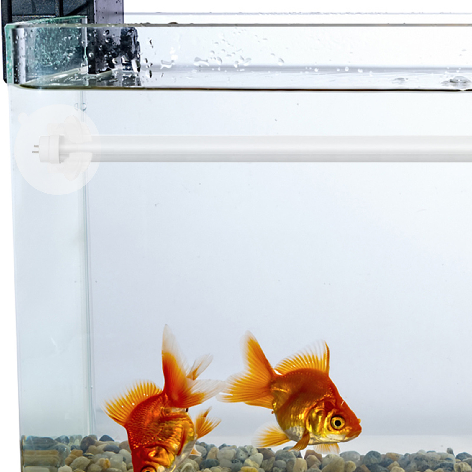 6 ชิ้น ที่วางไฟซิลิโคนสำหรับตู - Aquarium Plant Light บทวิจารณ์และราคา