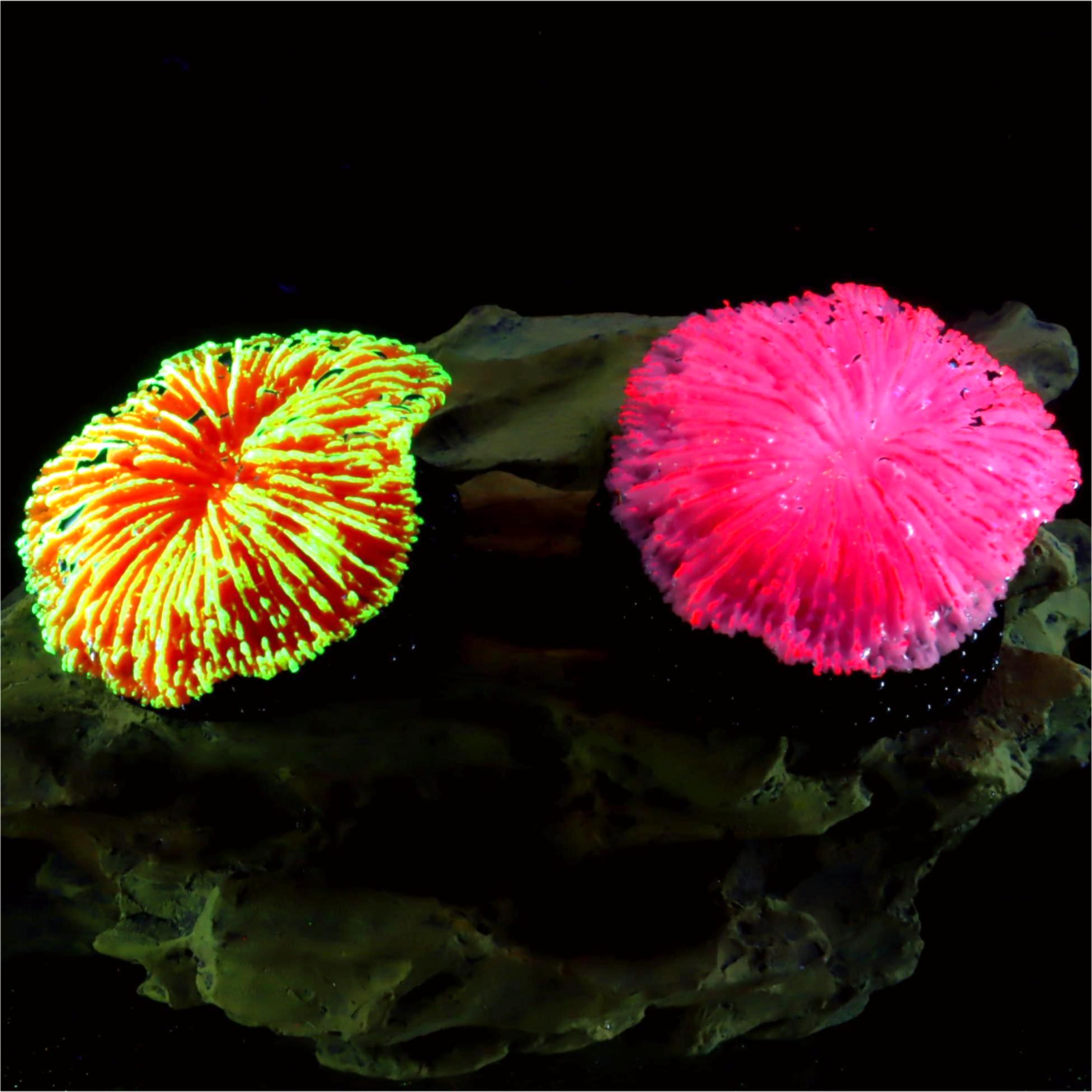 1 ชิ้น ของตกแต่งตู้ปลา ปะการัง - Live Plant Aquarium บทวิจารณ์และราคา