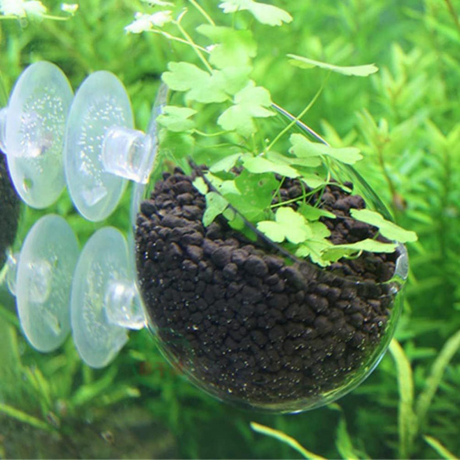 ที่วางต้นไม้ในตู้ปลา กระถางแก้ - Live Plant Aquarium บทวิจารณ์และราคา