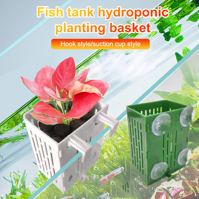 แขวนถ้วยดูด Hook Aquarium Hold - Plant Aquarium Pot บทวิจารณ์และราคา