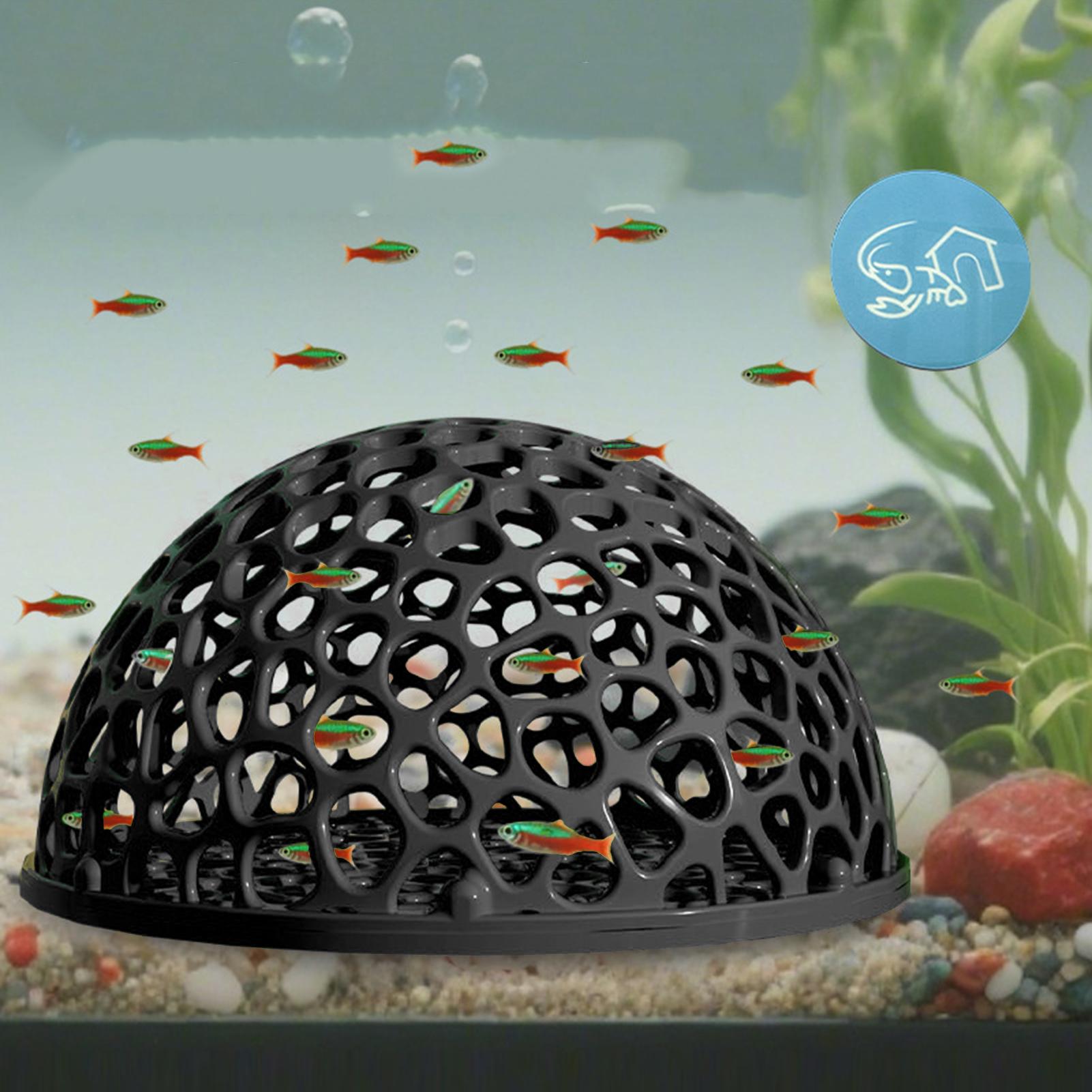 ที่ซ่อนตัวในตู้ปลาสำหรับปลาขนา - Aquarium Plants Live บทวิจารณ์และราคา