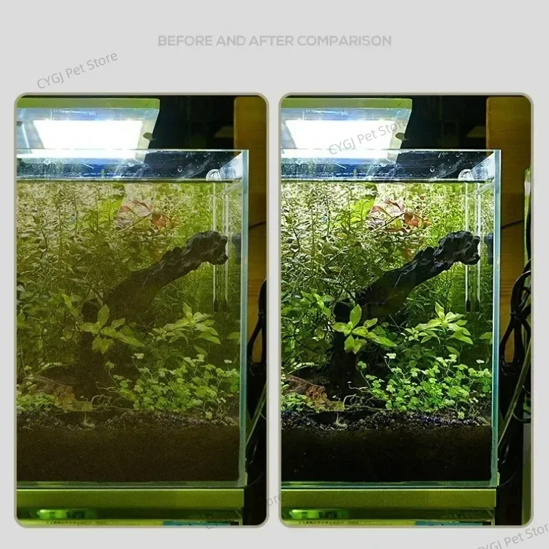 เครื่องมือทําความสะอาดถังปลาแบ - Planted Aquarium Cleaning บทวิจารณ์และราคา