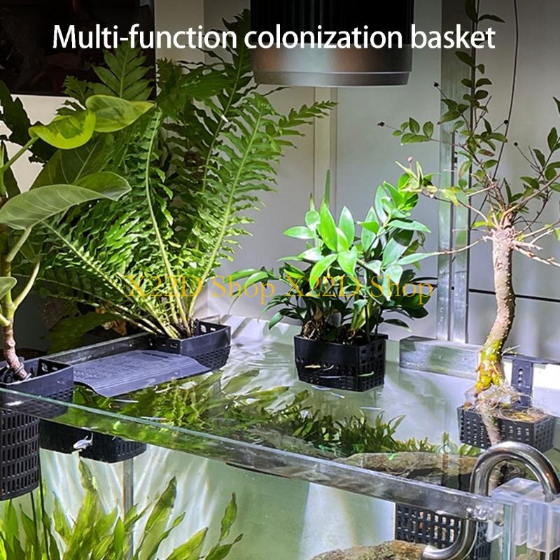 X22D โมเดิร์นสไตล์โบราณแนวตั้ง - Plant Aquarium Pot บทวิจารณ์และราคา