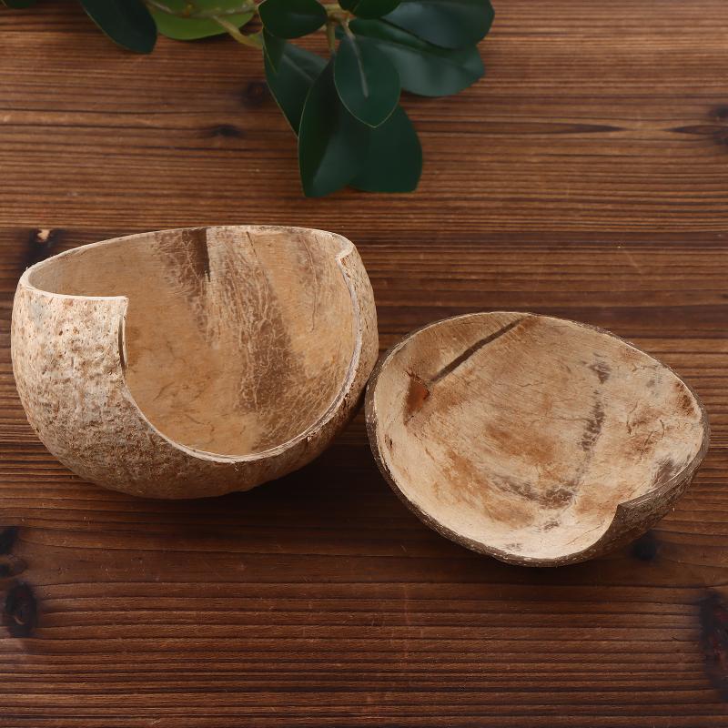 ตกแต่งตู้ปลาและตู้เลี้ยงสัตว์ด - Aquarium Driftwood บทวิจารณ์และราคา