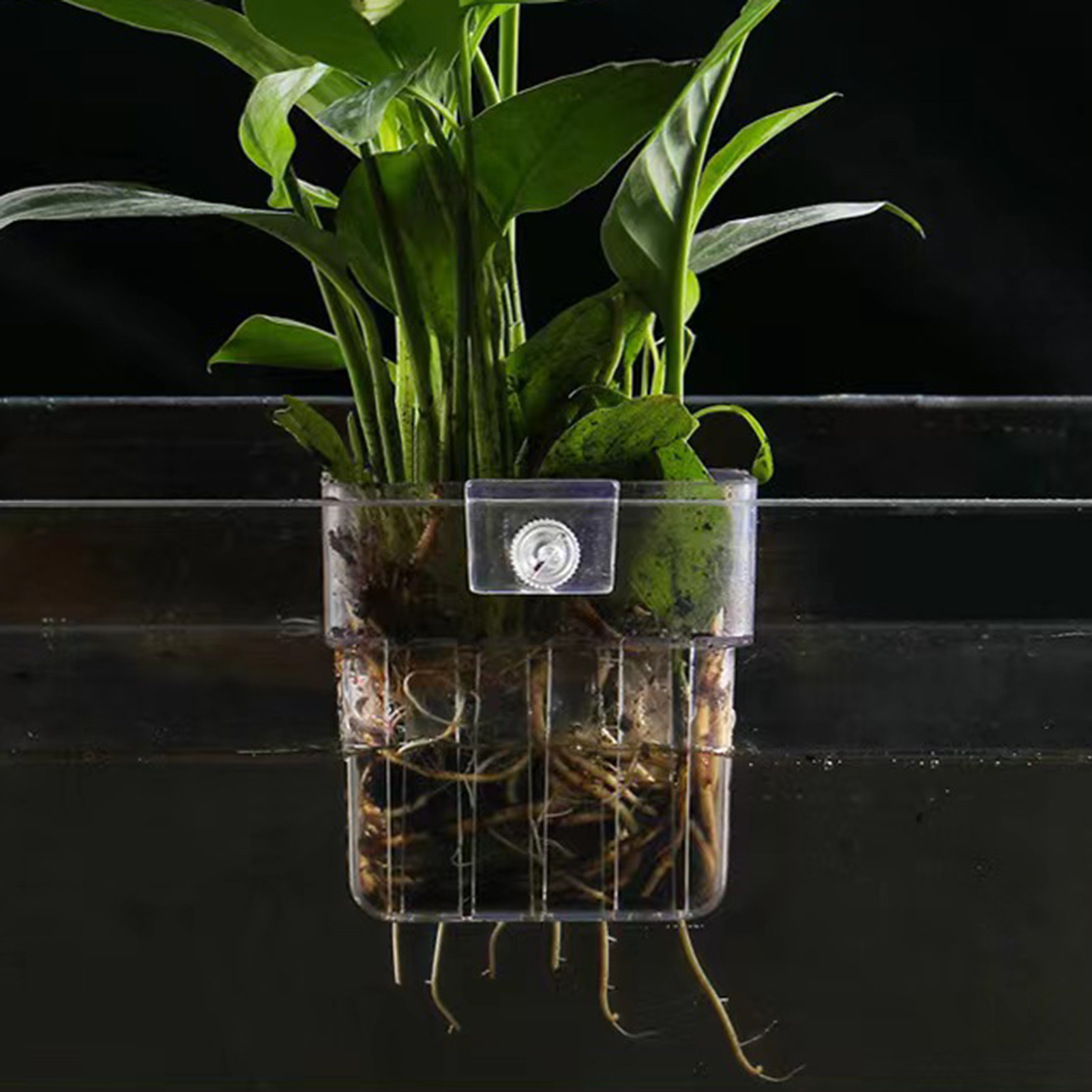 ที่วางต้นไม้อะคริลิกใส ตะกร้าป - Aquarium Plant Holder บทวิจารณ์และราคา