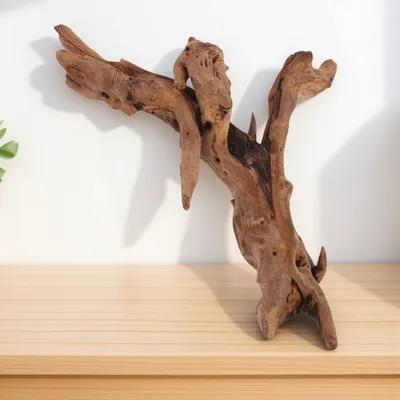 ของตกแต่งตู้ปลาไม้แห้ง 20-25 ซ - Aquarium Driftwood บทวิจารณ์และราคา