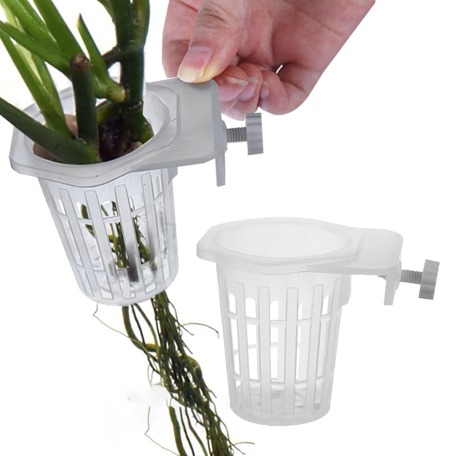 2 ชิ้น ที่แขวนต้นไม้น้ำแบบมีรู - Plant Aquarium Pot บทวิจารณ์และราคา