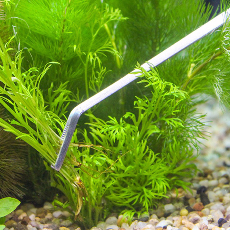 ชุดเครื่องมือดูแลตู้ปลาแบบมืออ - Live Plant Aquarium บทวิจารณ์และราคา