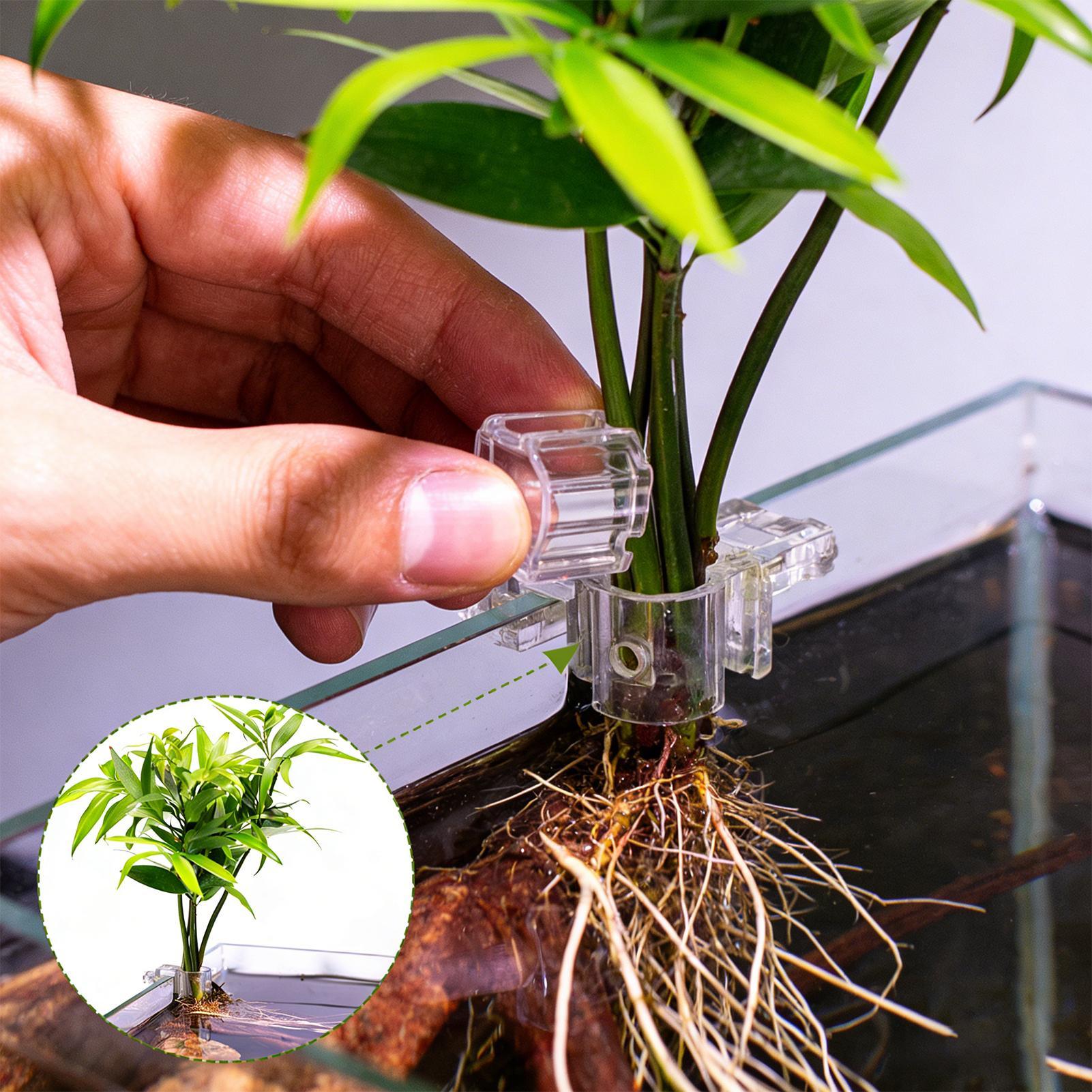 ที่แขวนต้นไม้ในตู้ปลาแบบใส 6 ช - Aquarium Plants Live บทวิจารณ์และราคา