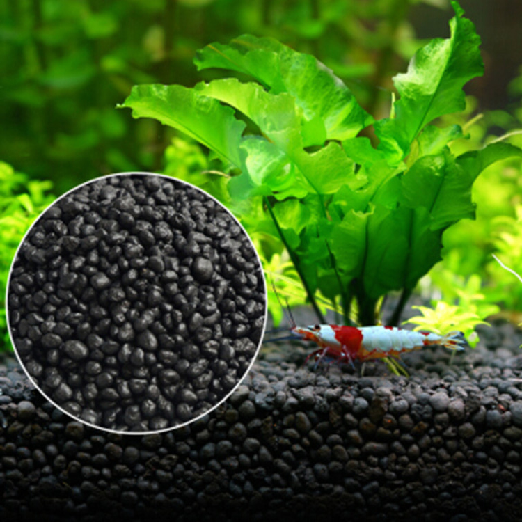 พิพิธภัณฑ์สัตว์น้ำเมล็ดพืชดิน  - Aquarium Fertilizer บทวิจารณ์และราคา