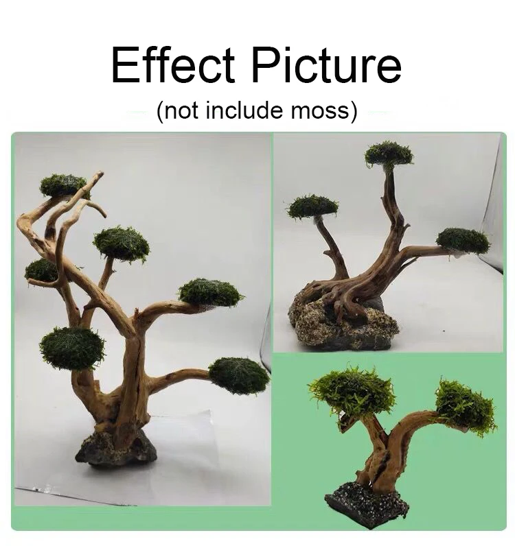 พิพิธภัณฑ์สัตว์น้ํา Driftwood  - Aquarium Plant Substrate บทวิจารณ์และราคา