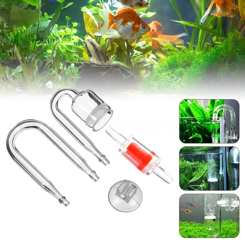DIY ชุดกระจาย CO2 4ชิ้นสำหรับต - Aquarium Liquid Carbon บทวิจารณ์และราคา